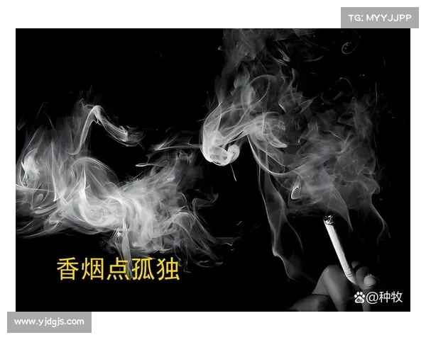 期太钓叟：渔翁生涯中的智慧与孤独探索